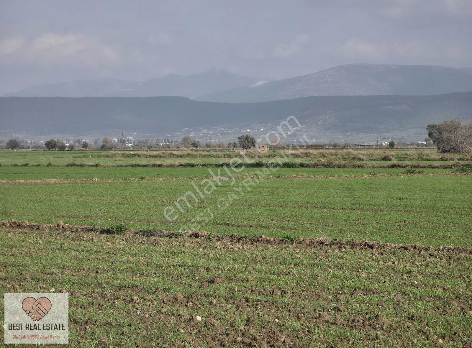Milas Yakaköy De 14.380 M² Elektirik Suyu Olan Yola Sıfır Tarla - Görsel 12
