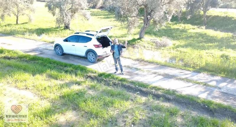 Milas Yakaköy De 14.380 M² Elektirik Suyu Olan Yola Sıfır Tarla - Görsel 33