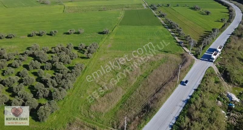 Milas Yakaköy De 14.380 M² Elektirik Suyu Olan Yola Sıfır Tarla - Görsel 5