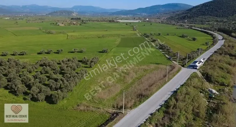 Milas Yakaköy De 14.380 M² Elektirik Suyu Olan Yola Sıfır Tarla - Görsel 17