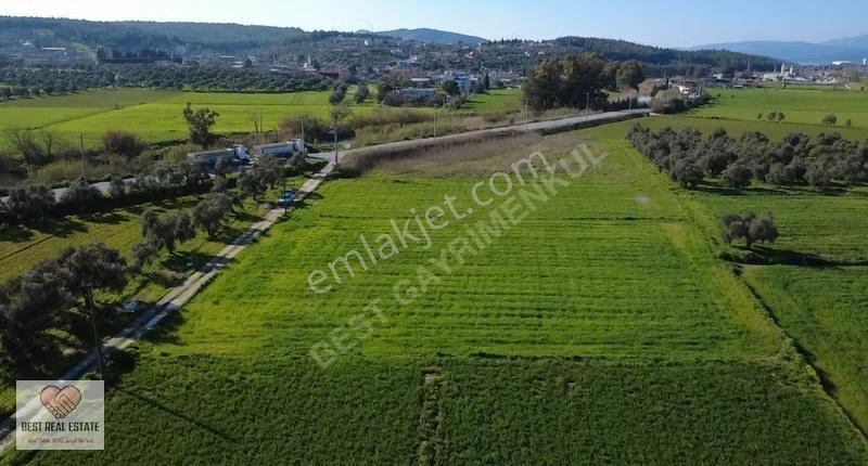 Milas Yakaköy De 14.380 M² Elektirik Suyu Olan Yola Sıfır Tarla - Görsel 3