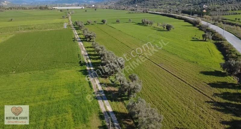 Milas Yakaköy De 14.380 M² Elektirik Suyu Olan Yola Sıfır Tarla - Görsel 25