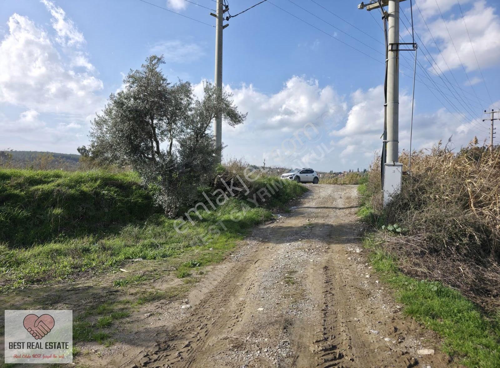 Milas Yakaköy De 14.380 M² Elektirik Suyu Olan Yola Sıfır Tarla - Görsel 13