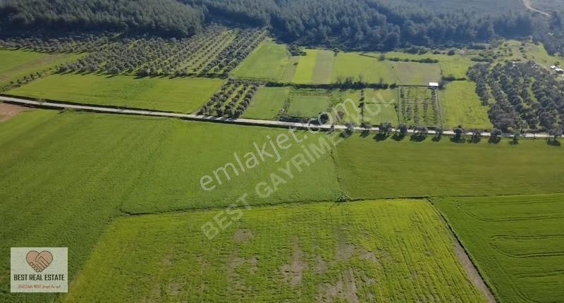 Milas Yakaköy De 14.380 M² Elektirik Suyu Olan Yola Sıfır Tarla - Görsel 19