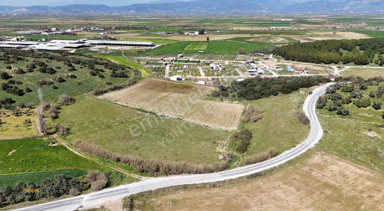 Yönter Emlaktan Tire Işıklarda Satılık 3.557 M² Yol Cepheli - Görsel 25
