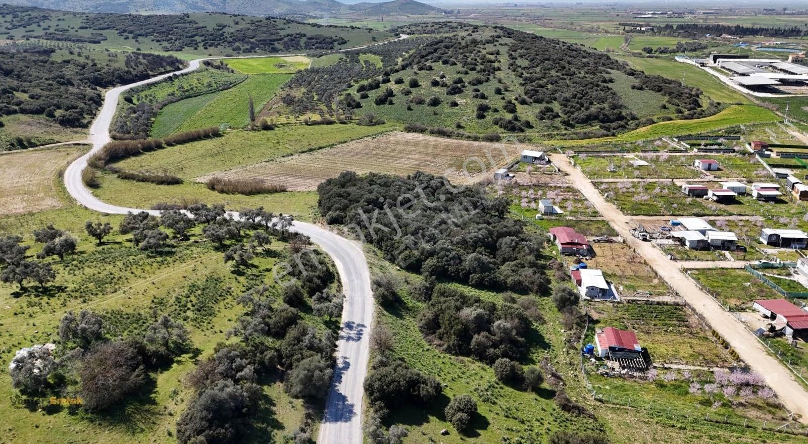 Yönter Emlaktan Tire Işıklarda Satılık 3.557 M² Yol Cepheli - Görsel 16