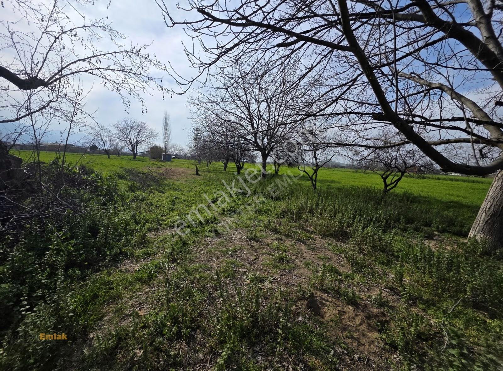Yönter Emlaktan Çiniyerinde Satılık 1.480 M² Asfalta Sıfır - Görsel 10