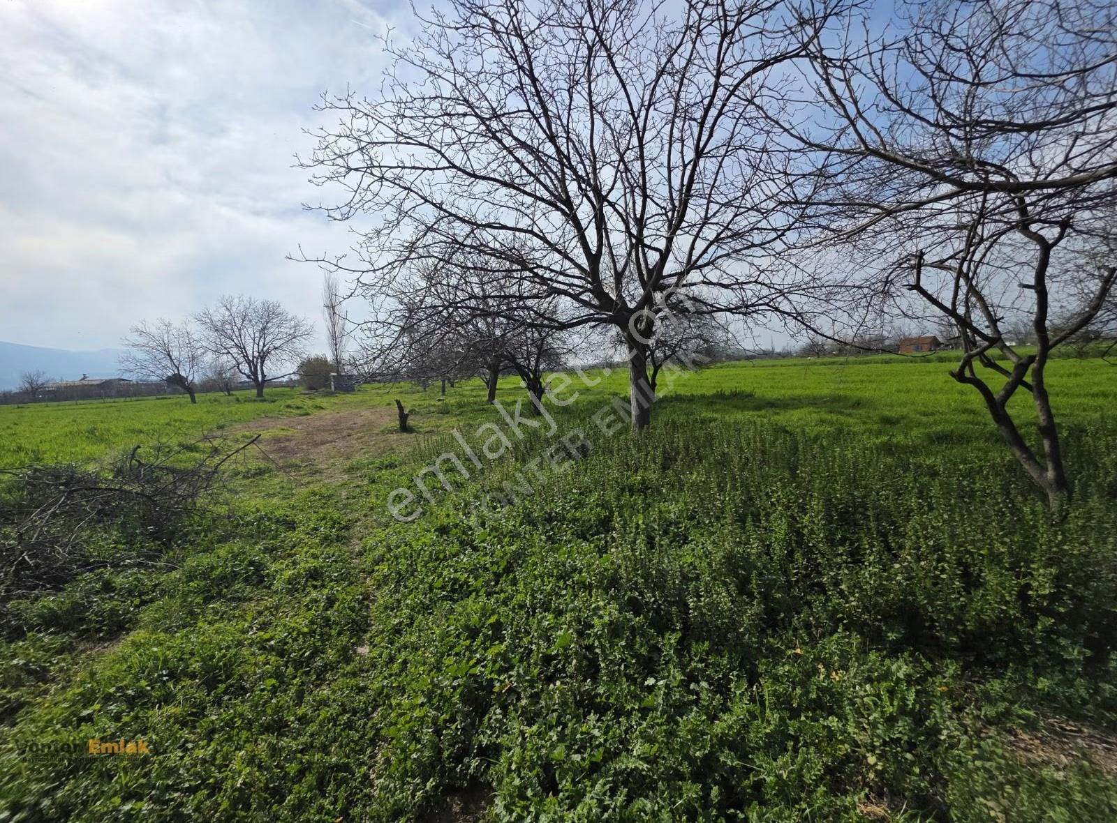 Yönter Emlaktan Çiniyerinde Satılık 1.480 M² Asfalta Sıfır - Görsel 19