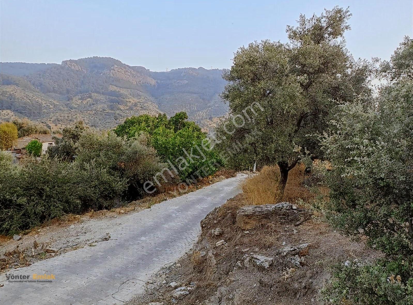 Akyurt Köy İçi Arsa! Resmi İmarlı Ev Yapılabilir, Yatırımlık!