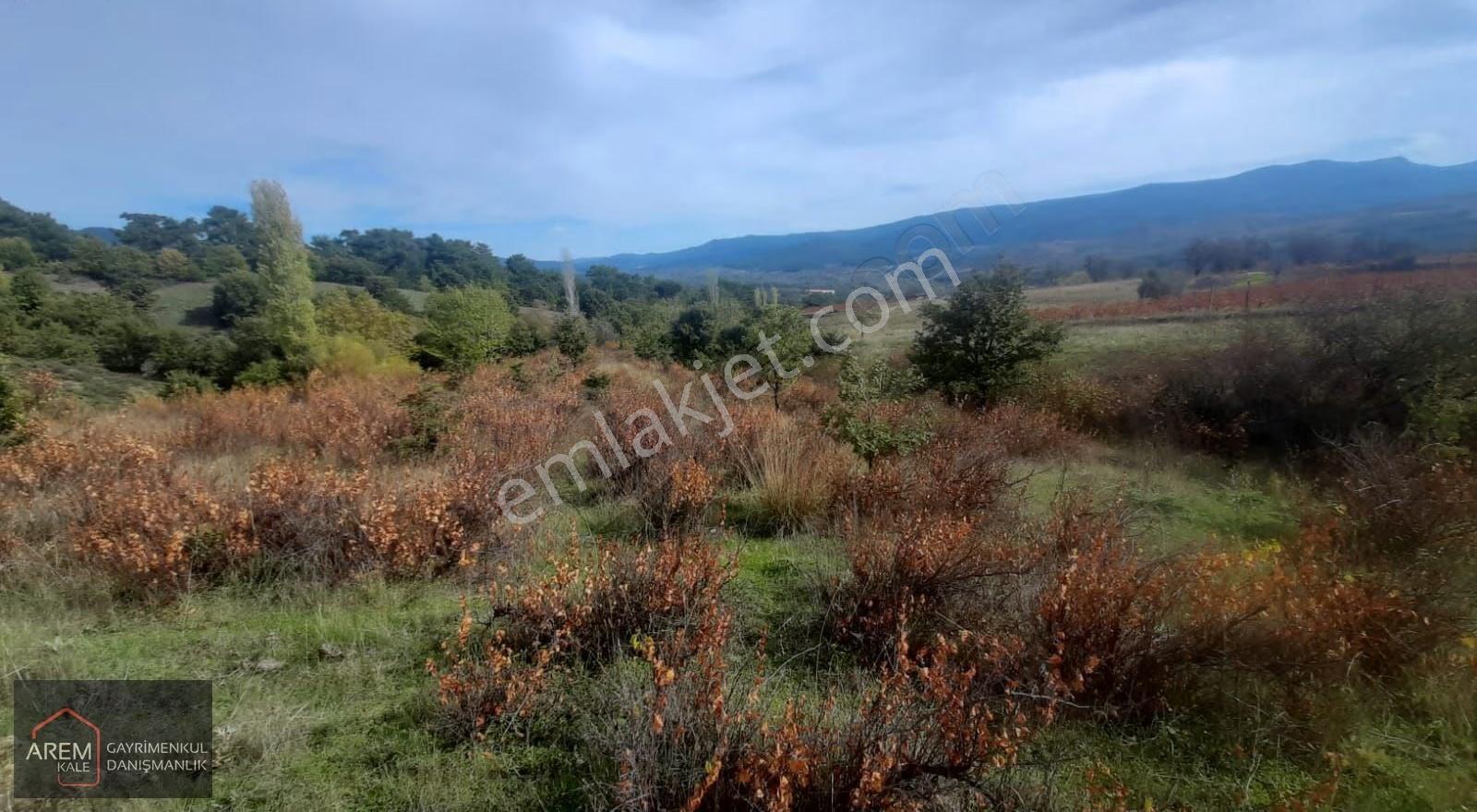 Bayramiç Sarıot Köyü 11.300 M² Satılık Tarla - Görsel 9