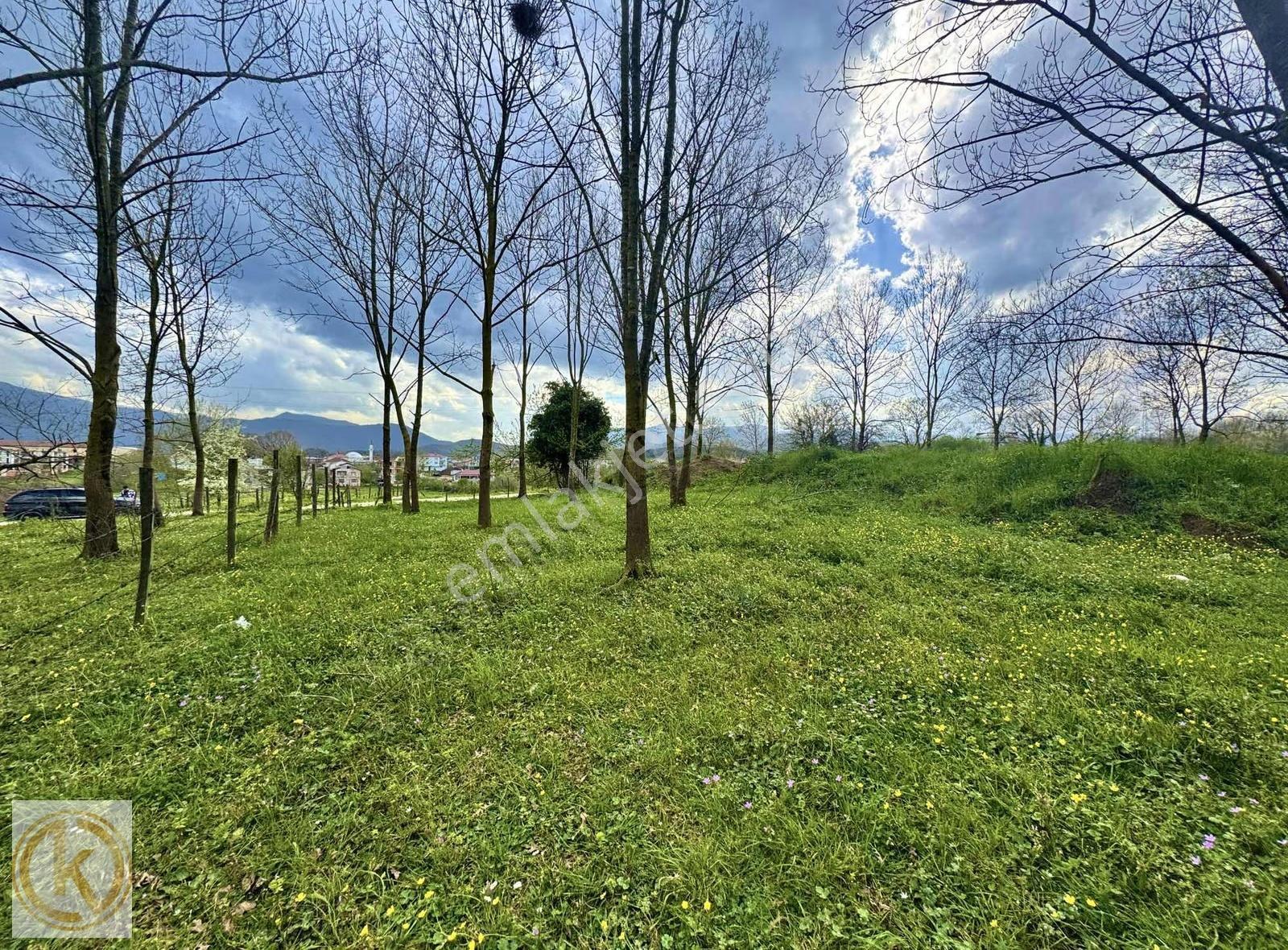 Kaymak Emlaktan Arifiye Neviye'de Konut İmarlı 755m2 Satılk Arsa - Görsel 13