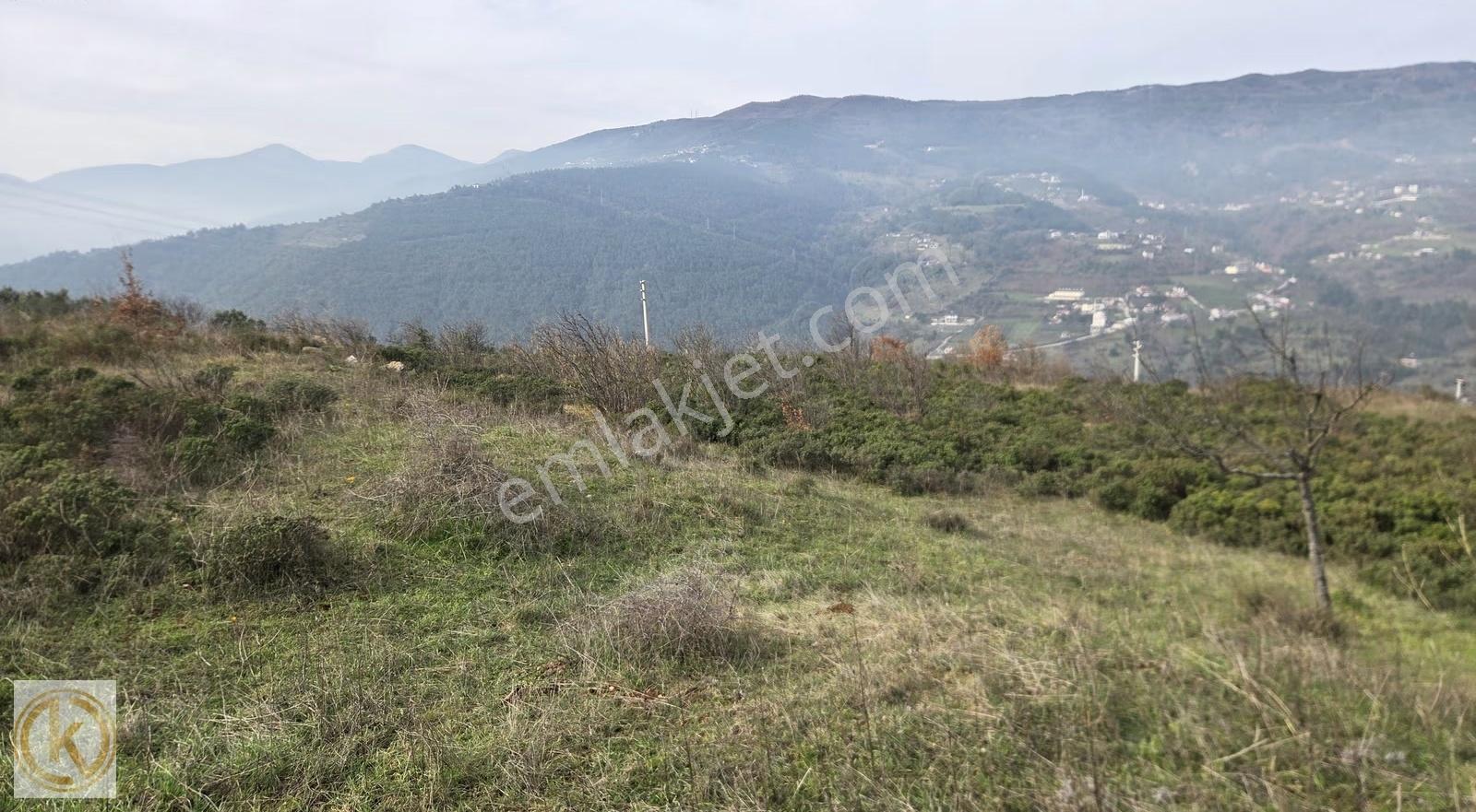 Kaymak Emlaktan Geyve Epçellerde Şehir Manzaralı 9290 M² Tarla - Görsel 5