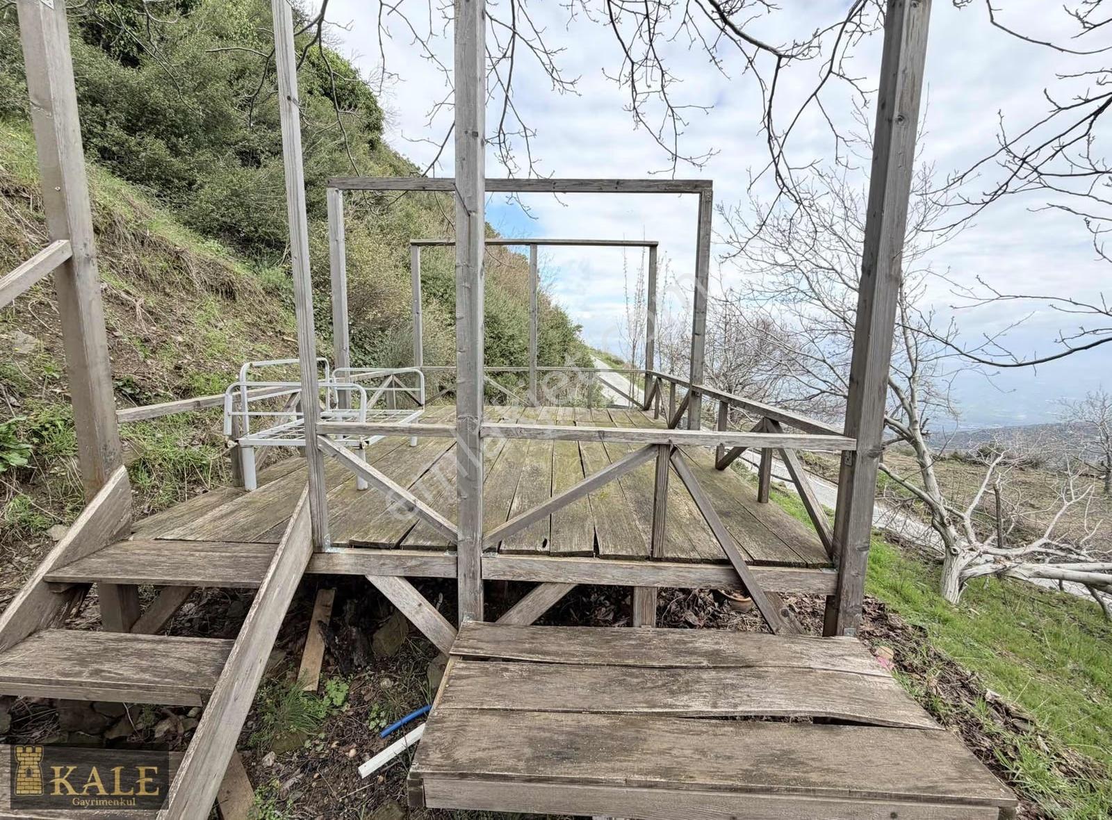 Kale'den Panoramik Tire Manzaralı Meyve Bahçesi - Görsel 5