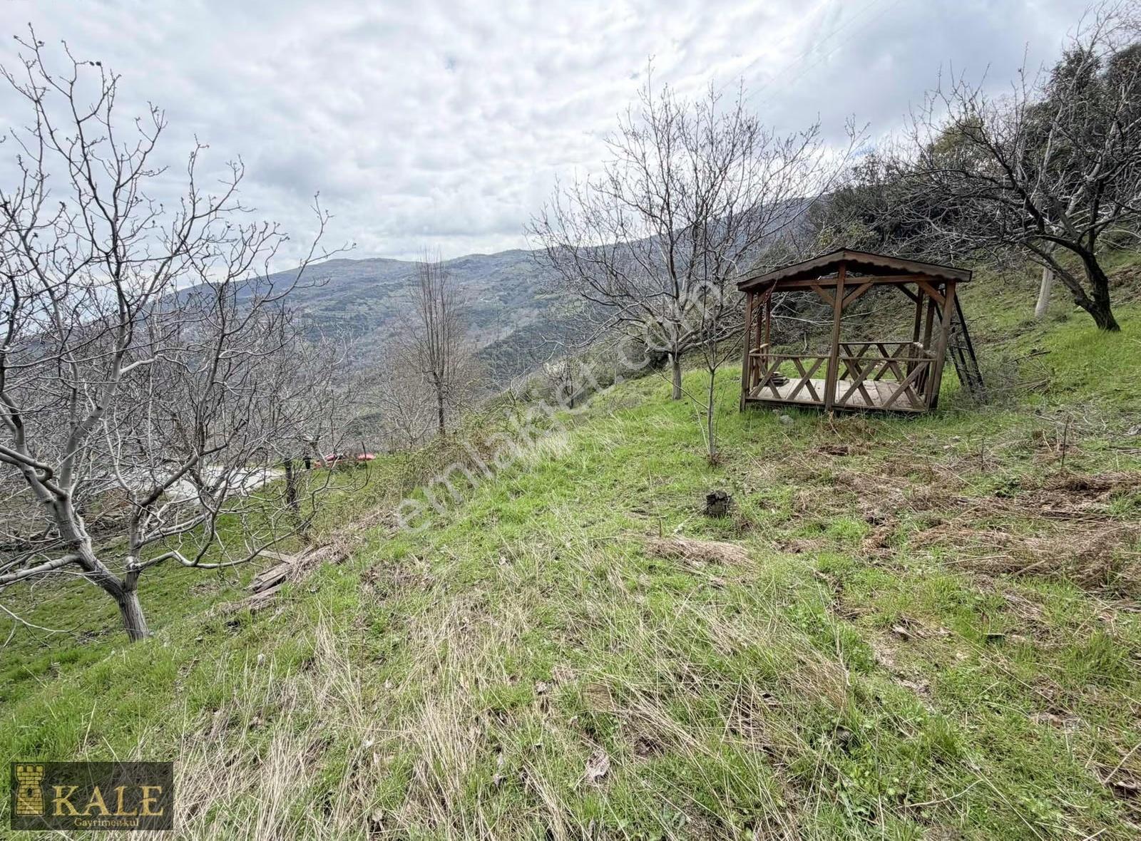 Kale'den Panoramik Tire Manzaralı Meyve Bahçesi - Görsel 16