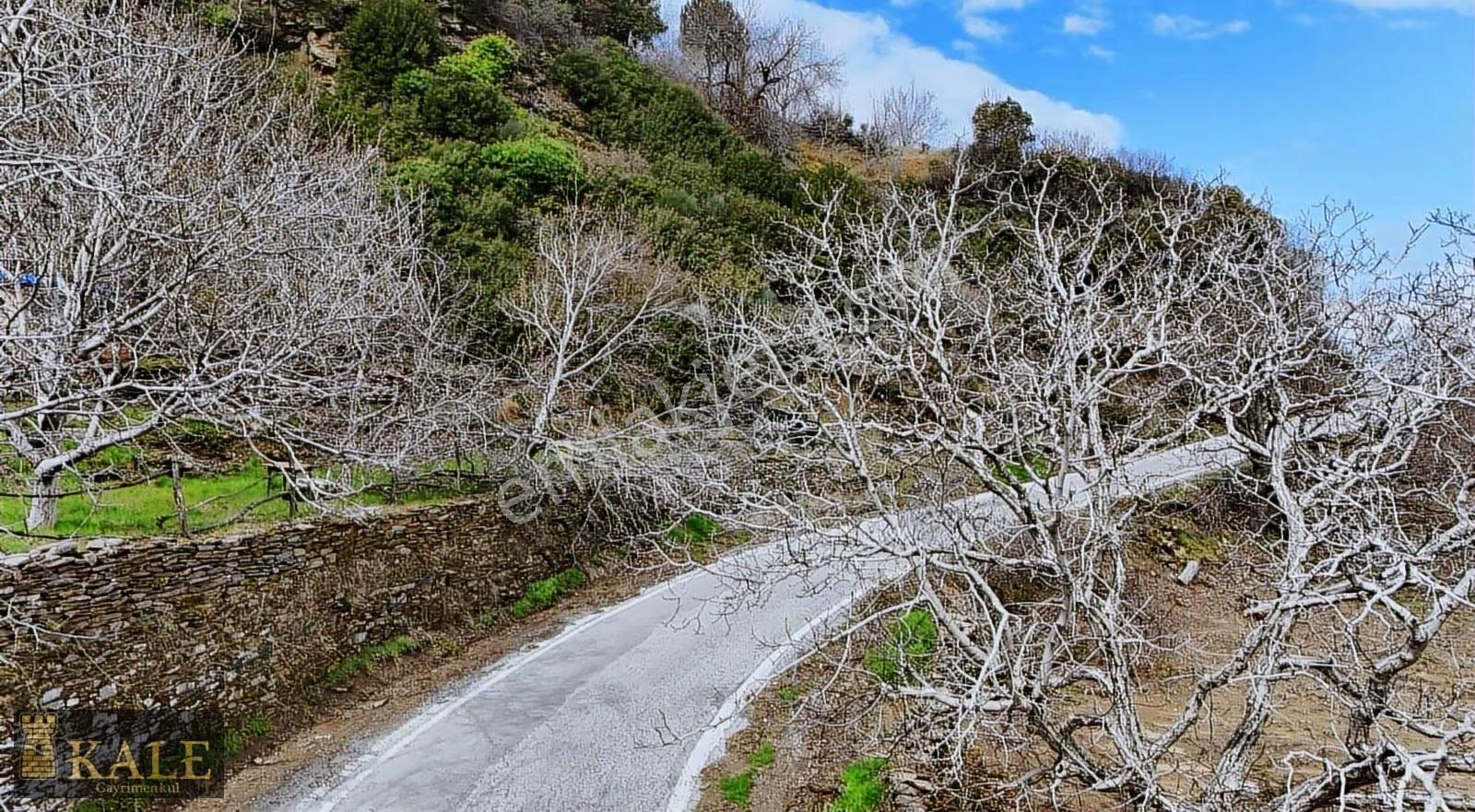 Kale'den Panoramik Tire Manzaralı Meyve Bahçesi - Görsel 3