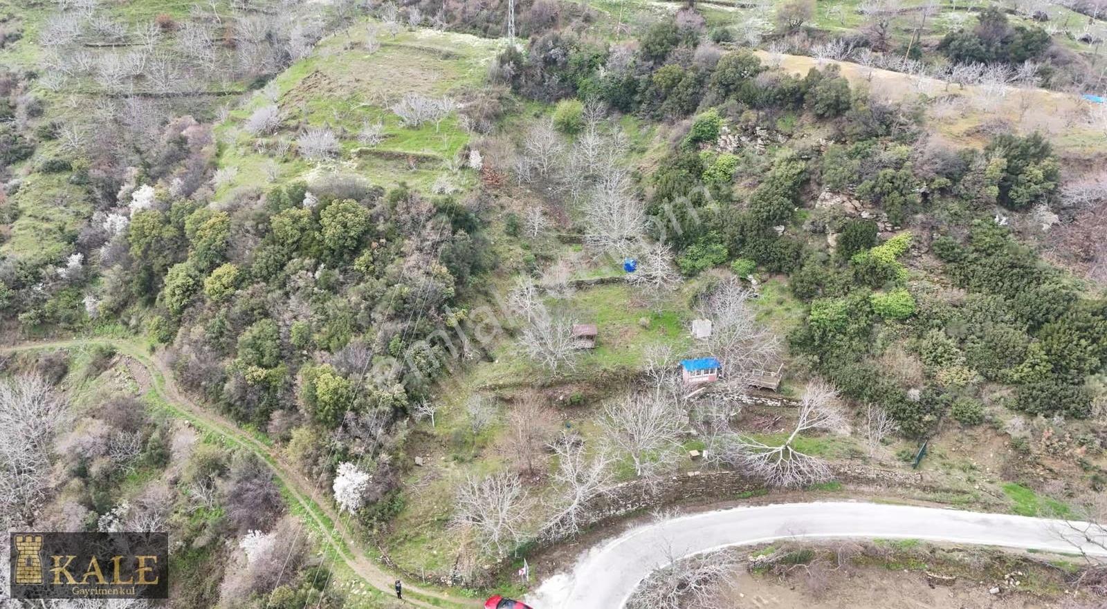 Kale'den Panoramik Tire Manzaralı Meyve Bahçesi - Görsel 14