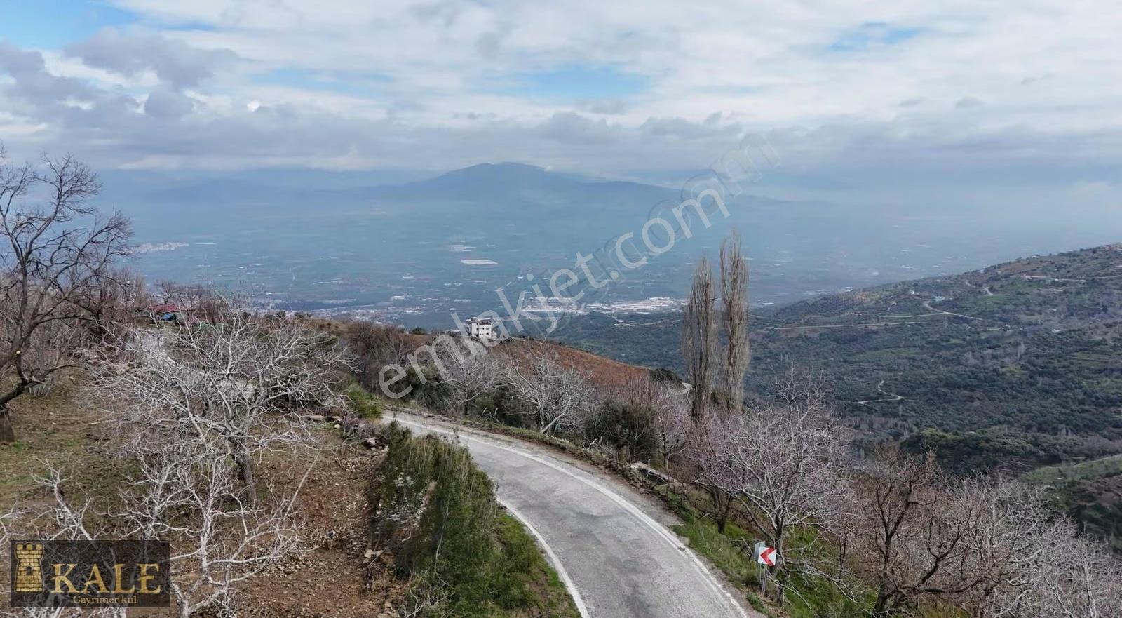 Kale'den Panoramik Tire Manzaralı Meyve Bahçesi