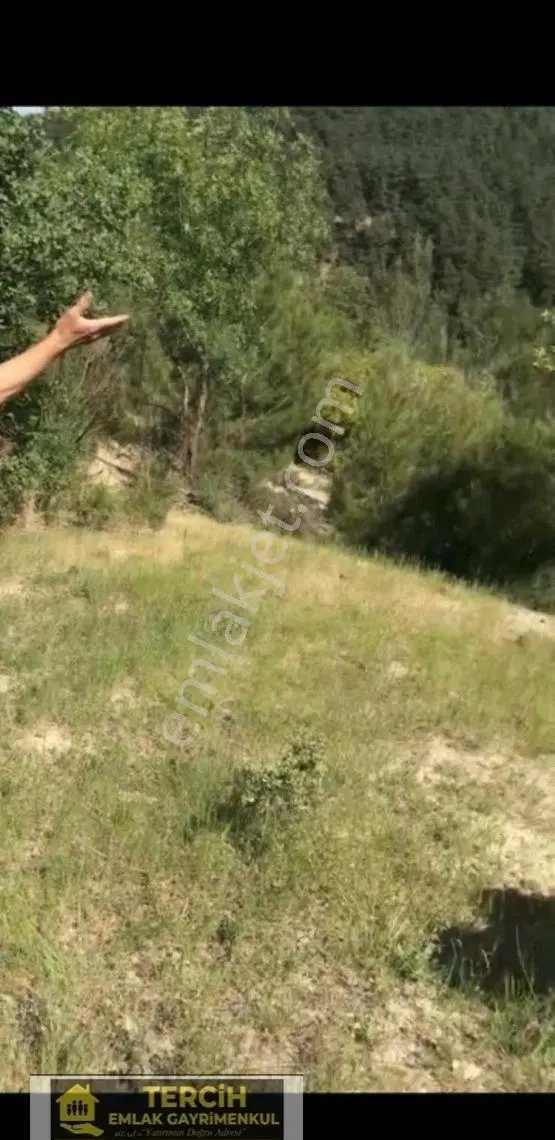 Telefon Parasına Dağ Havası Müstakil Tarla - Görsel 3