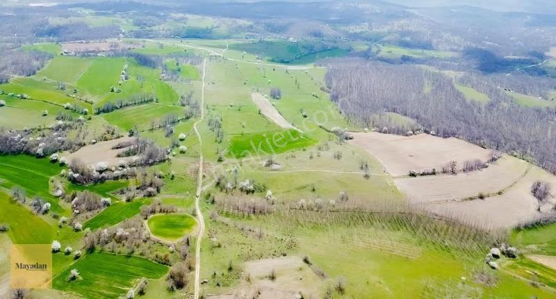 Mayadan Çukurpınar'da 2.445m2 Satılık Arazi - Görsel 13