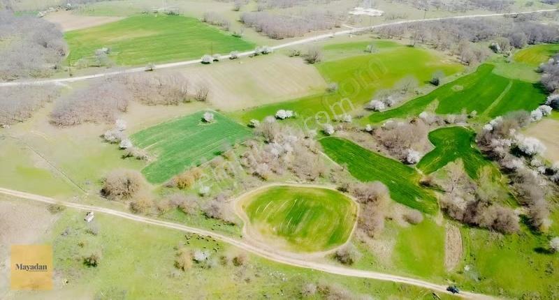 Mayadan Çukurpınar'da 2.445m2 Satılık Arazi - Görsel 17