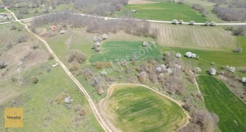Mayadan Çukurpınar'da 2.445m2 Satılık Arazi - Görsel 8