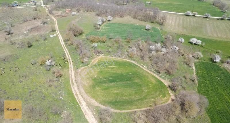 Mayadan Çukurpınar'da 2.445m2 Satılık Arazi - Görsel 10