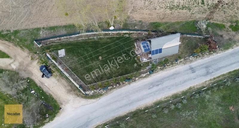 Mayadan Armağan'da Satılık Bungolav Ve Arazisi