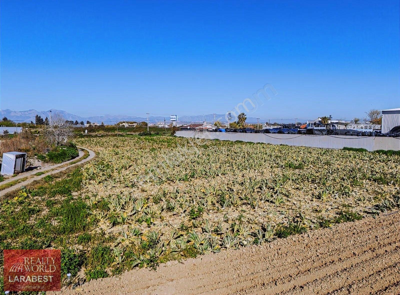 Antalya Güzelbağ Mahallesi Satılık Tarla - Görsel 24