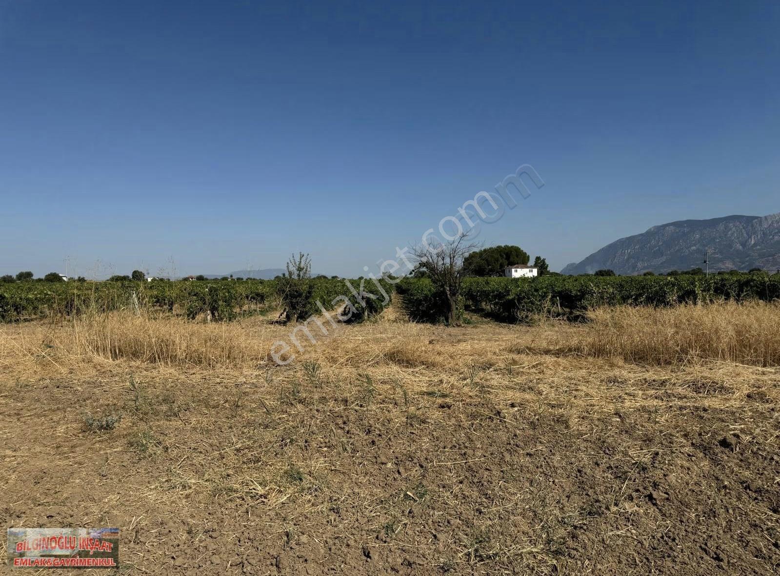 Bilginoğlu Emlaktan Göksu Mevkiinde Satılık Bağ - Görsel 9