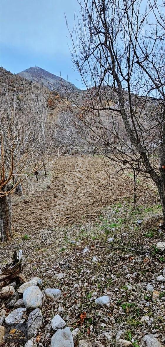 600 M2 Bahçe Tapulu Ve 3+1 Kargas Ev - Görsel 20