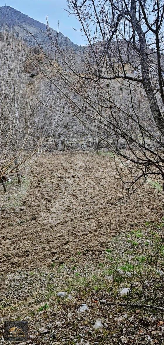 600 M2 Bahçe Tapulu Ve 3+1 Kargas Ev - Görsel 14