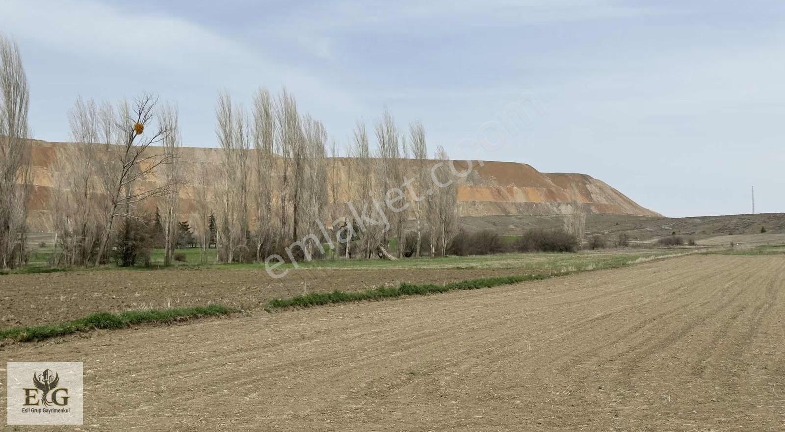 Eskişehir İnönü'de 5700 M² Tek Tapu Tarla Fırsatı