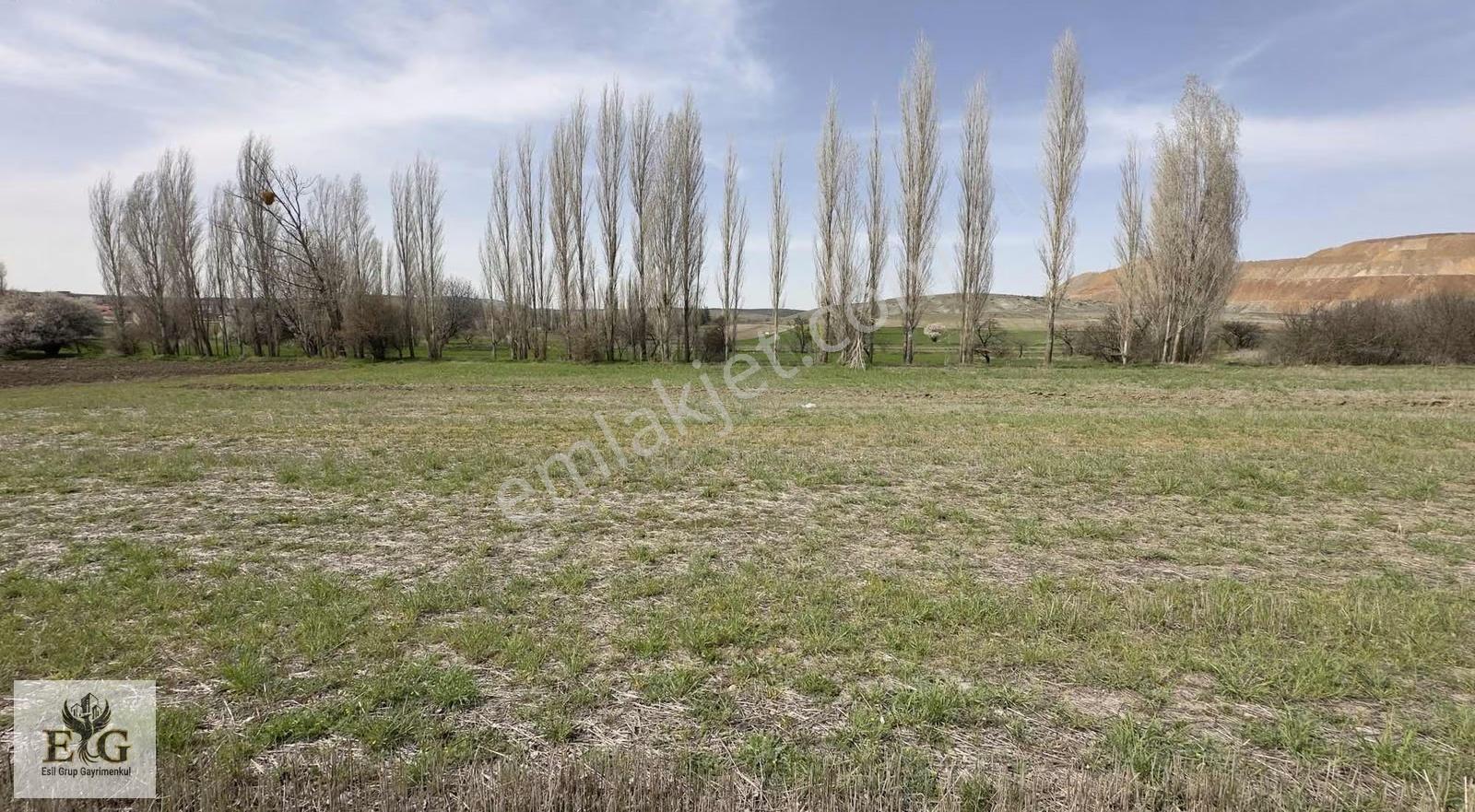 Eskişehir İnönü'de 5700 M² Tek Tapu Tarla Fırsatı - Görsel 11