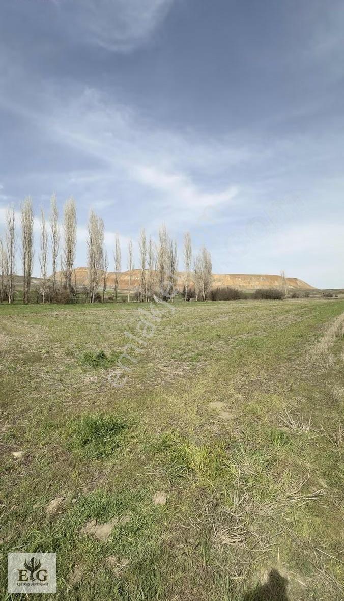 Eskişehir İnönü'de 5700 M² Tek Tapu Tarla Fırsatı - Görsel 10