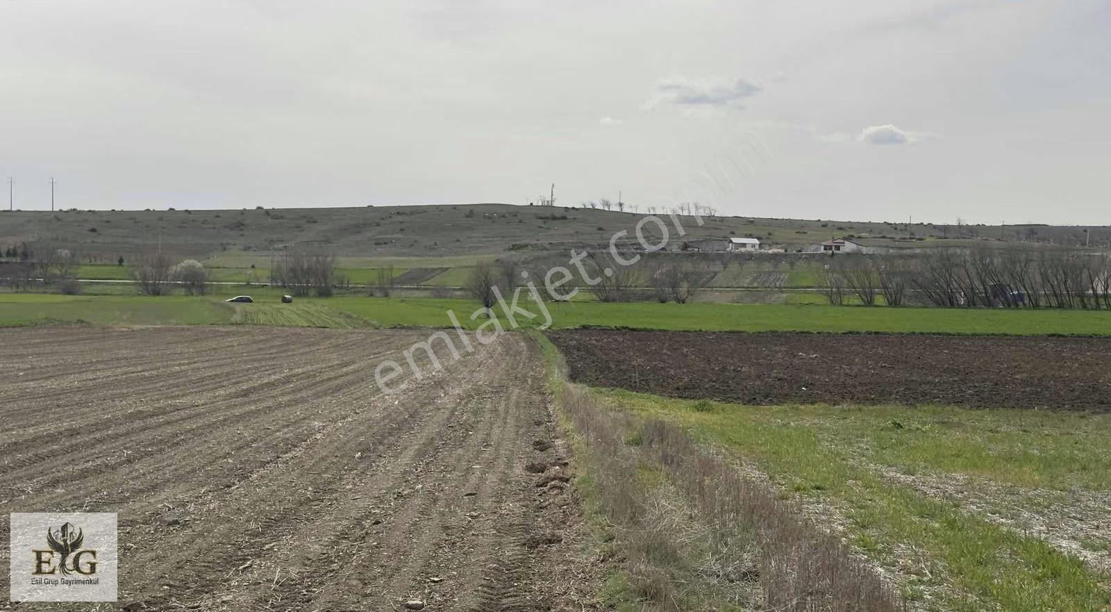 Eskişehir İnönü'de 5700 M² Tek Tapu Tarla Fırsatı - Görsel 6