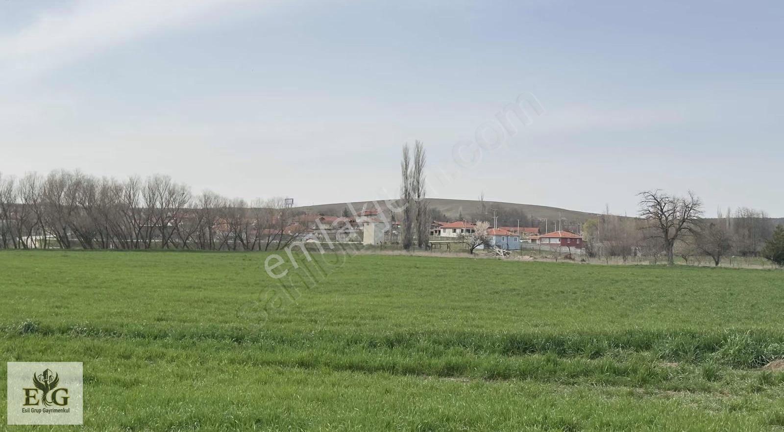 Eskişehir İnönü'de 5700 M² Tek Tapu Tarla Fırsatı - Görsel 2