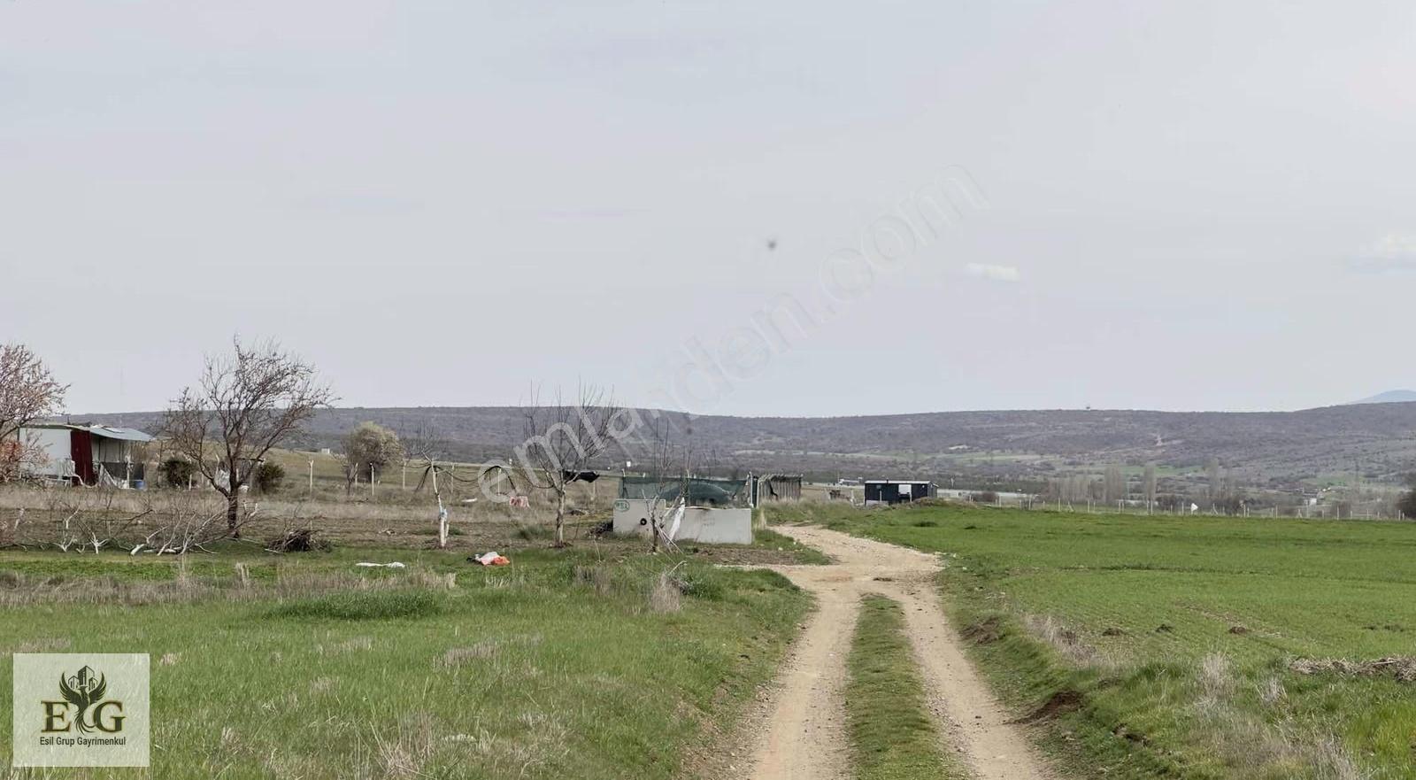 Eskişehir İnönü'de 5700 M² Tek Tapu Tarla Fırsatı - Görsel 3