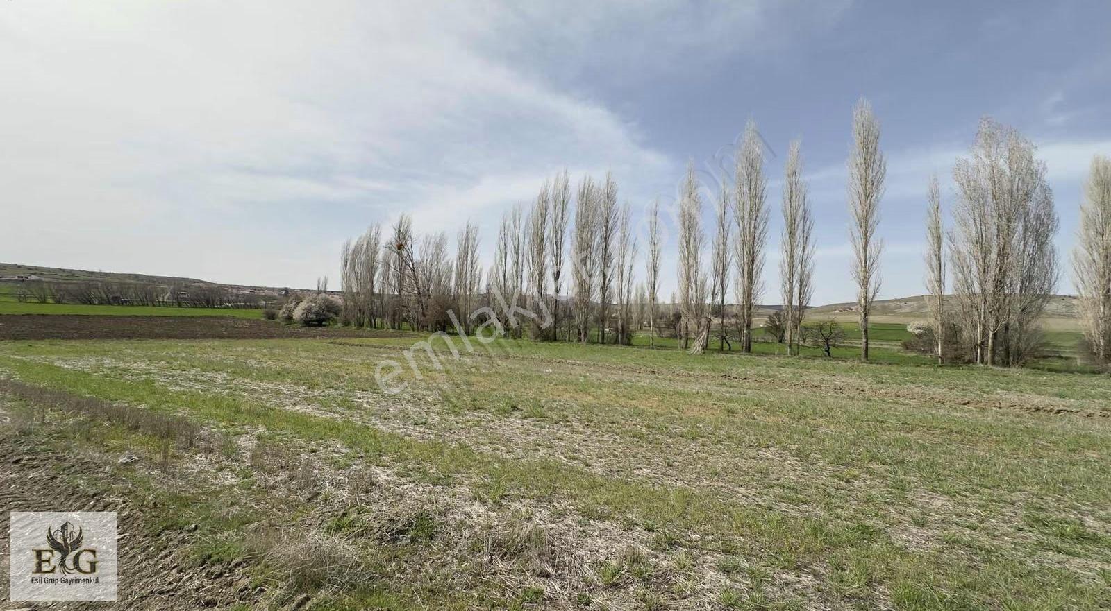 Eskişehir İnönü'de 5700 M² Tek Tapu Tarla Fırsatı - Görsel 9