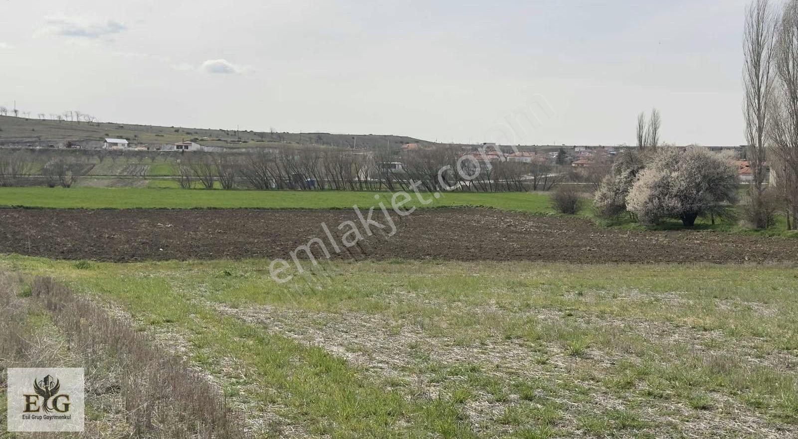 Eskişehir İnönü'de 5700 M² Tek Tapu Tarla Fırsatı - Görsel 5