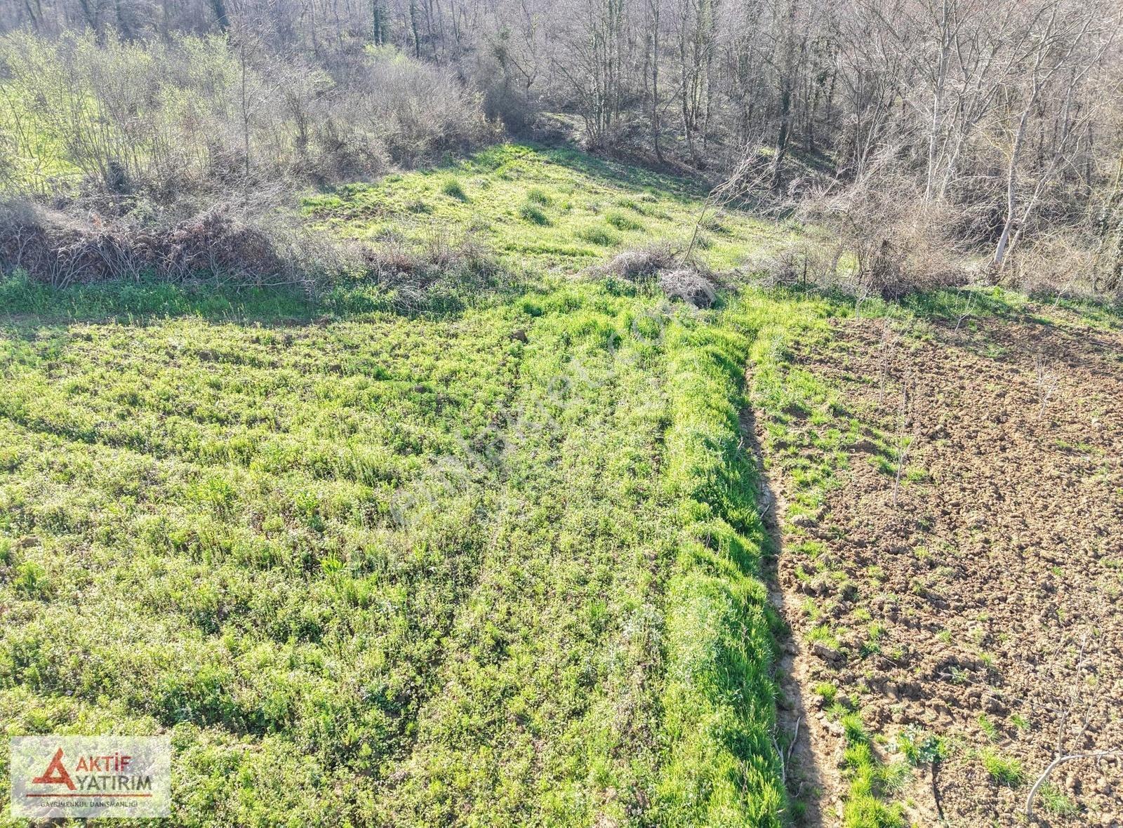 Kandıra Kırkarmut Mahallesi'nde Yerleşime Yakın 1483 M2 Tarla - Görsel 35