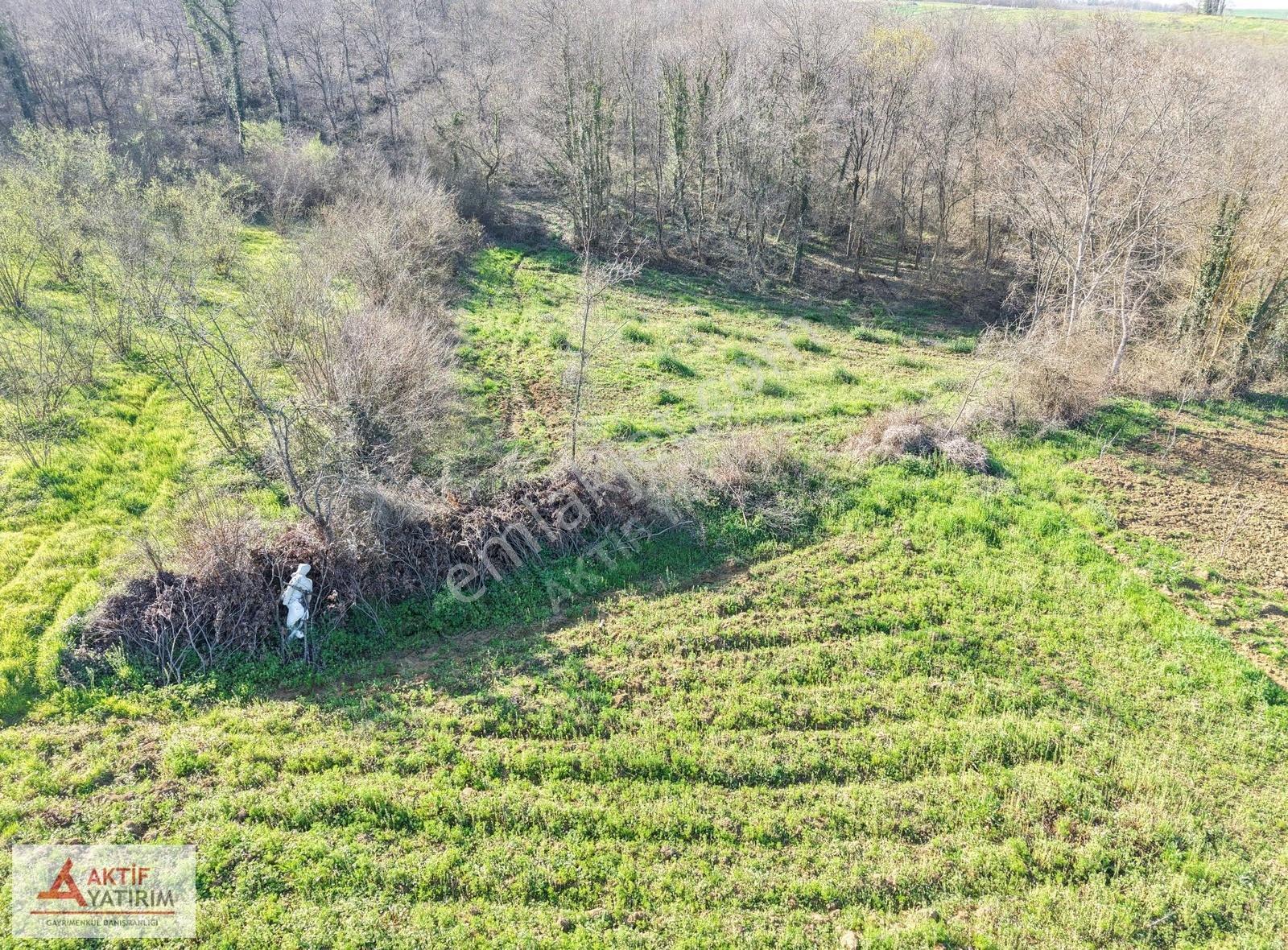 Kandıra Kırkarmut Mahallesi'nde Yerleşime Yakın 1483 M2 Tarla - Görsel 4