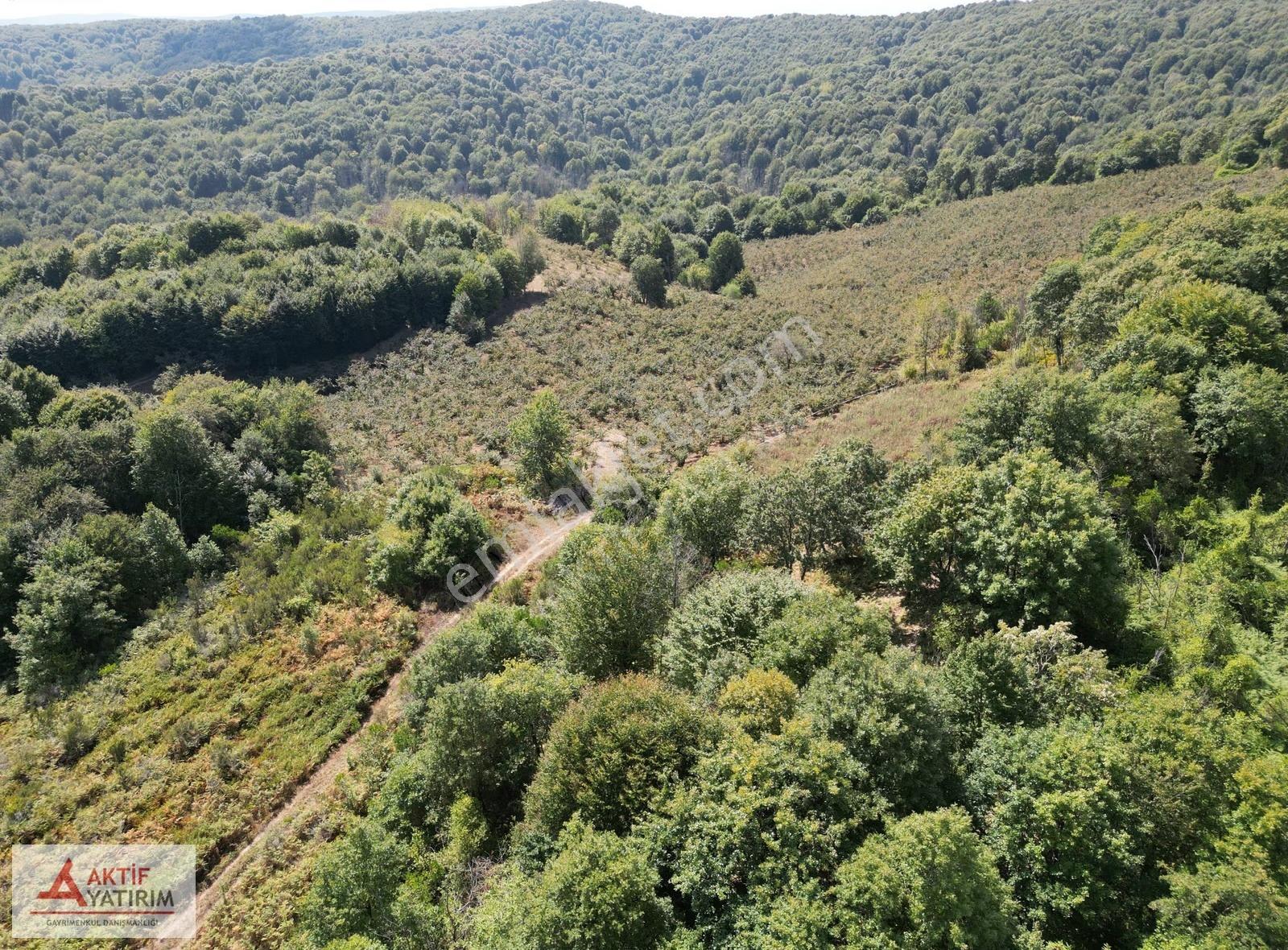 Pınarlı'da Doğa İçinde 4810 M2 Yetişkin Bakımlı Fındık Bahçesi - Görsel 17