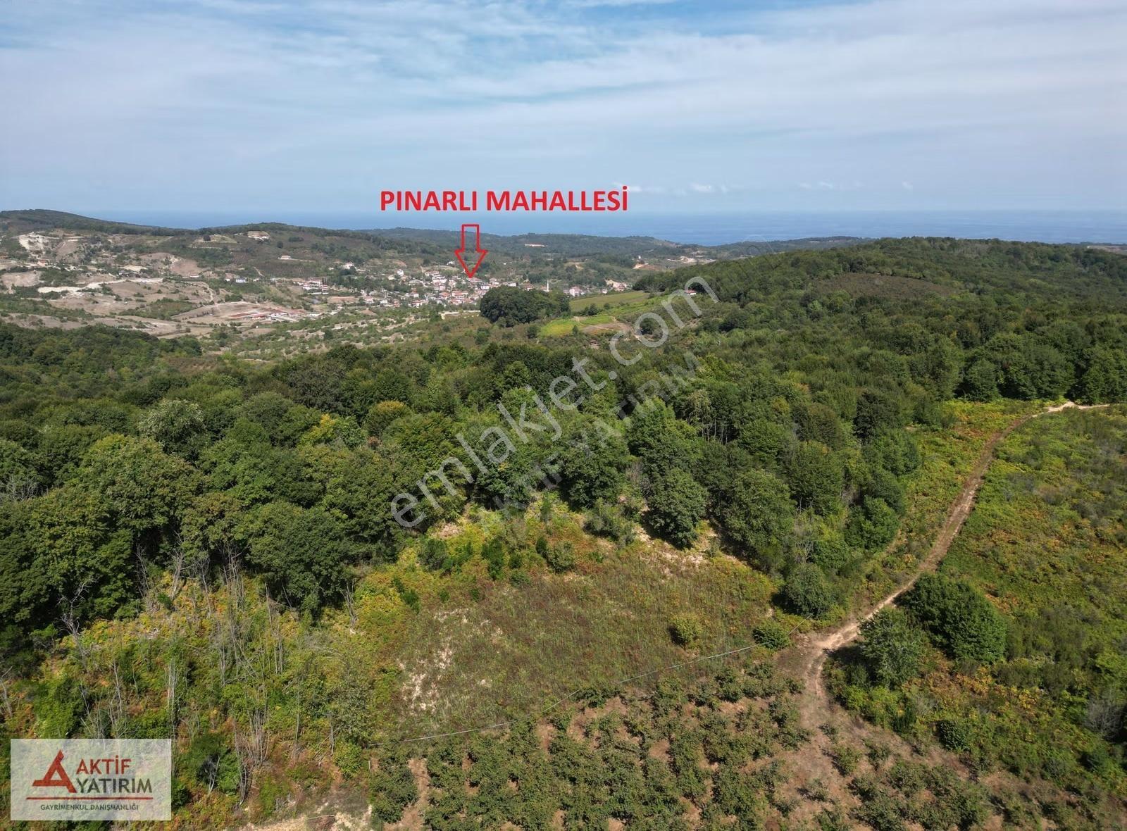Pınarlı'da Doğa İçinde 4810 M2 Yetişkin Bakımlı Fındık Bahçesi - Görsel 14