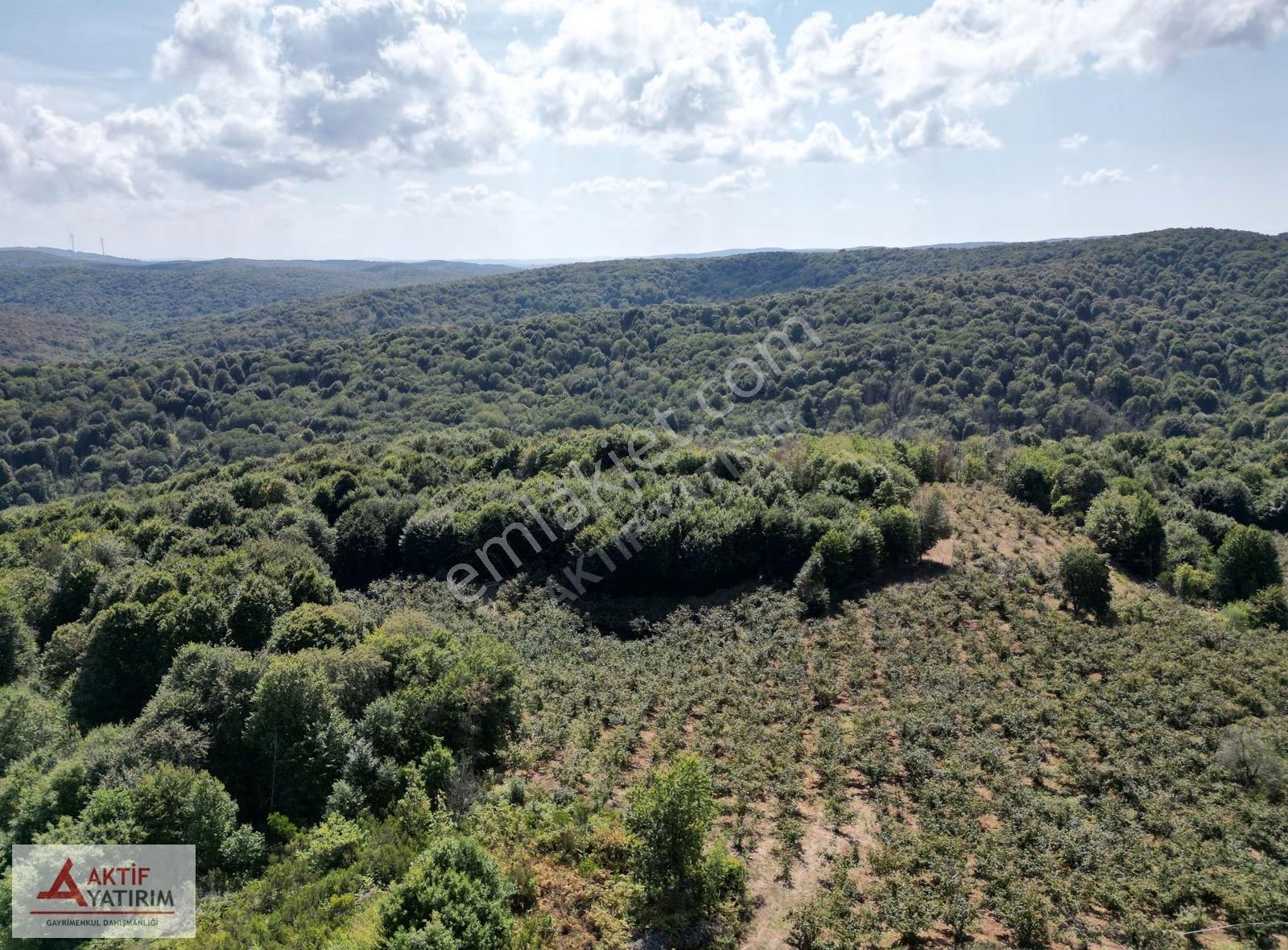 Pınarlı'da Doğa İçinde 4810 M2 Yetişkin Bakımlı Fındık Bahçesi - Görsel 18