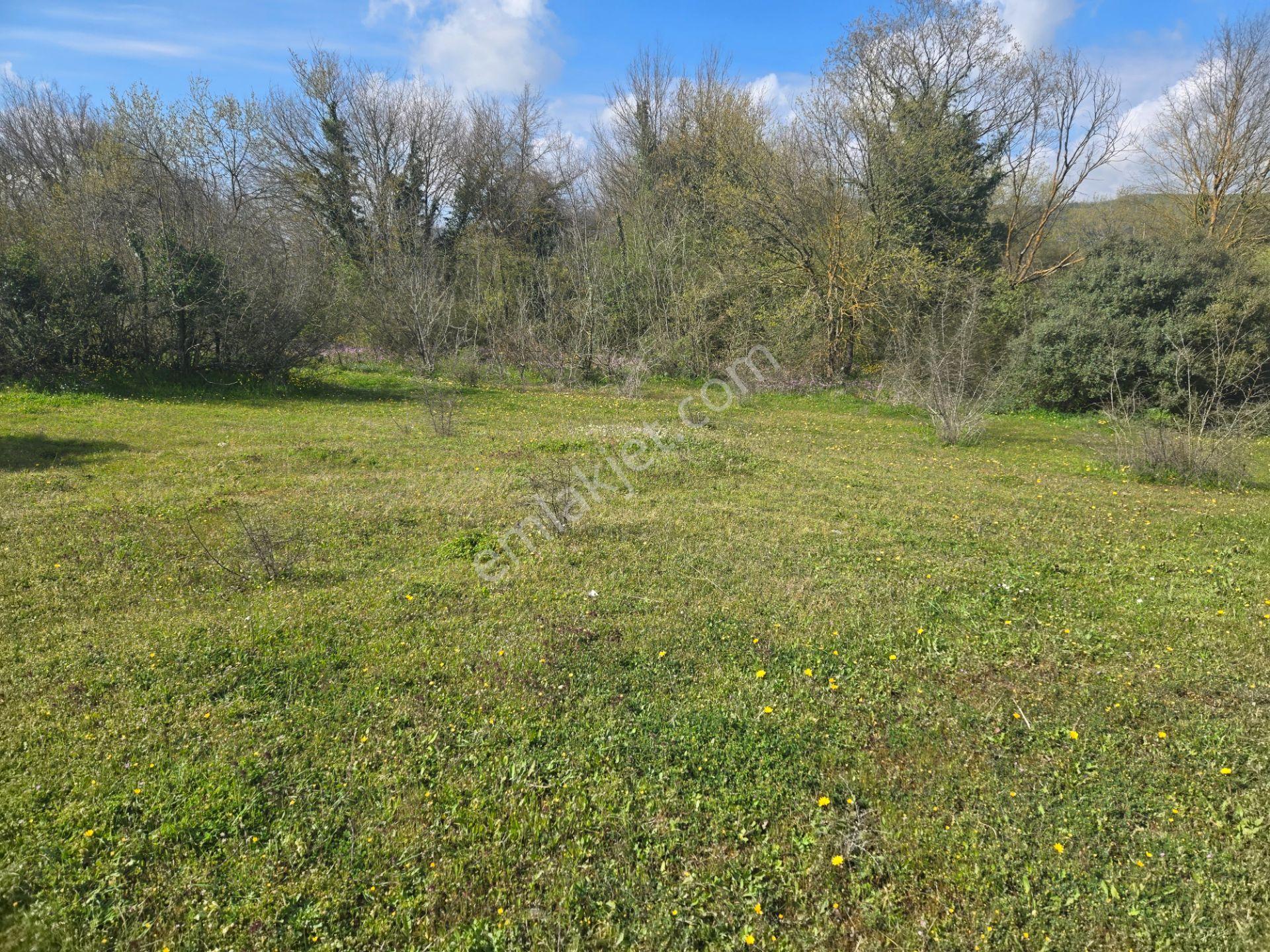 Kandıra Duraçalı'da 602 M2 Toprak Reformu İçinde Satılık Tarla - Görsel 9