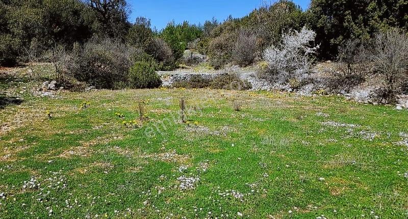 Temenos'tan Gölcük'te Hobi Bahçelik Tarla - Görsel 4