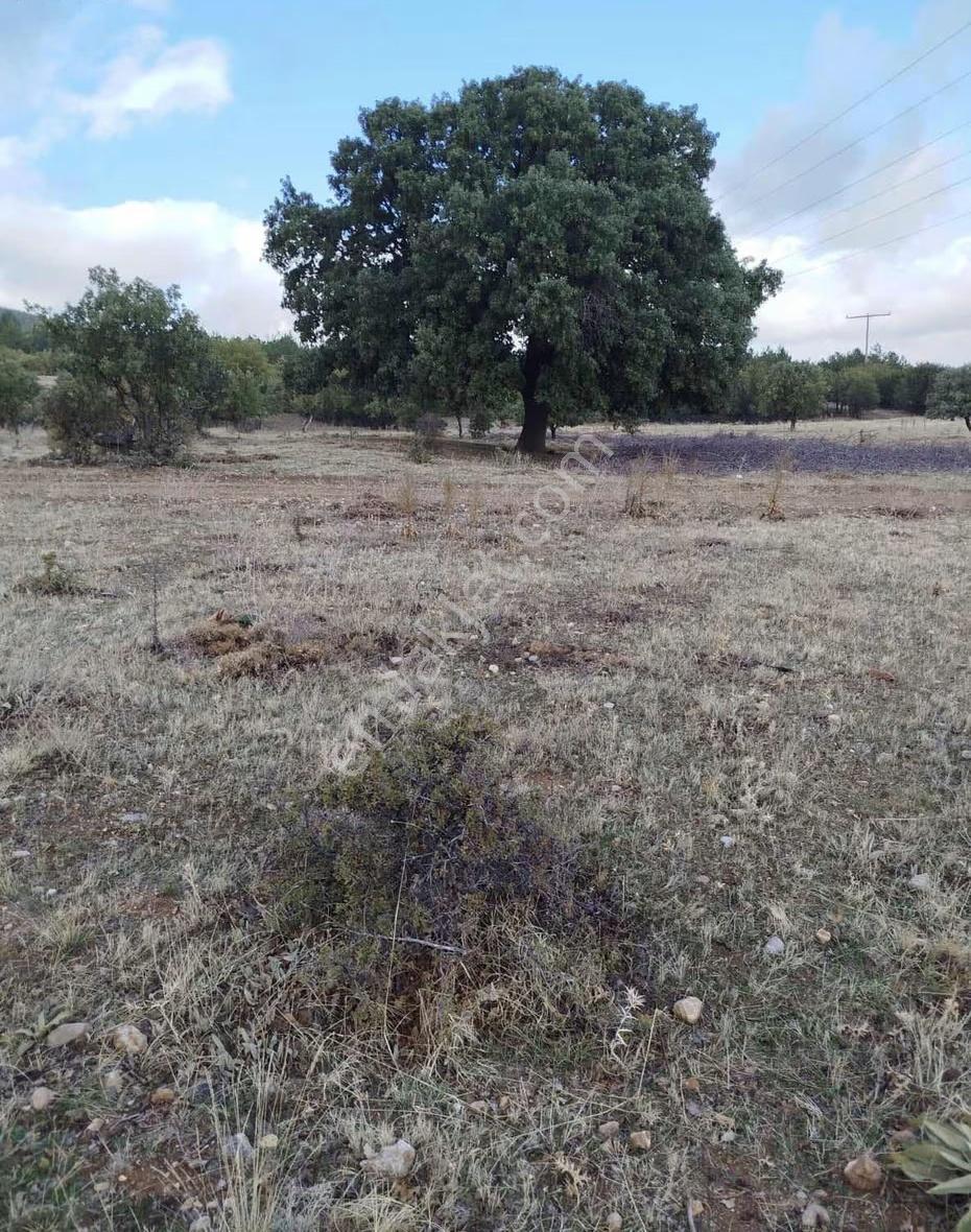 Temenos'tan Kırca'da Köşe Başı Park Cepheli - Görsel 8
