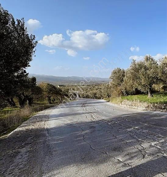 Avdanda Beton Yolda Yola Sıfır Mükemmel Lokasyonda Hobi Bahçesi