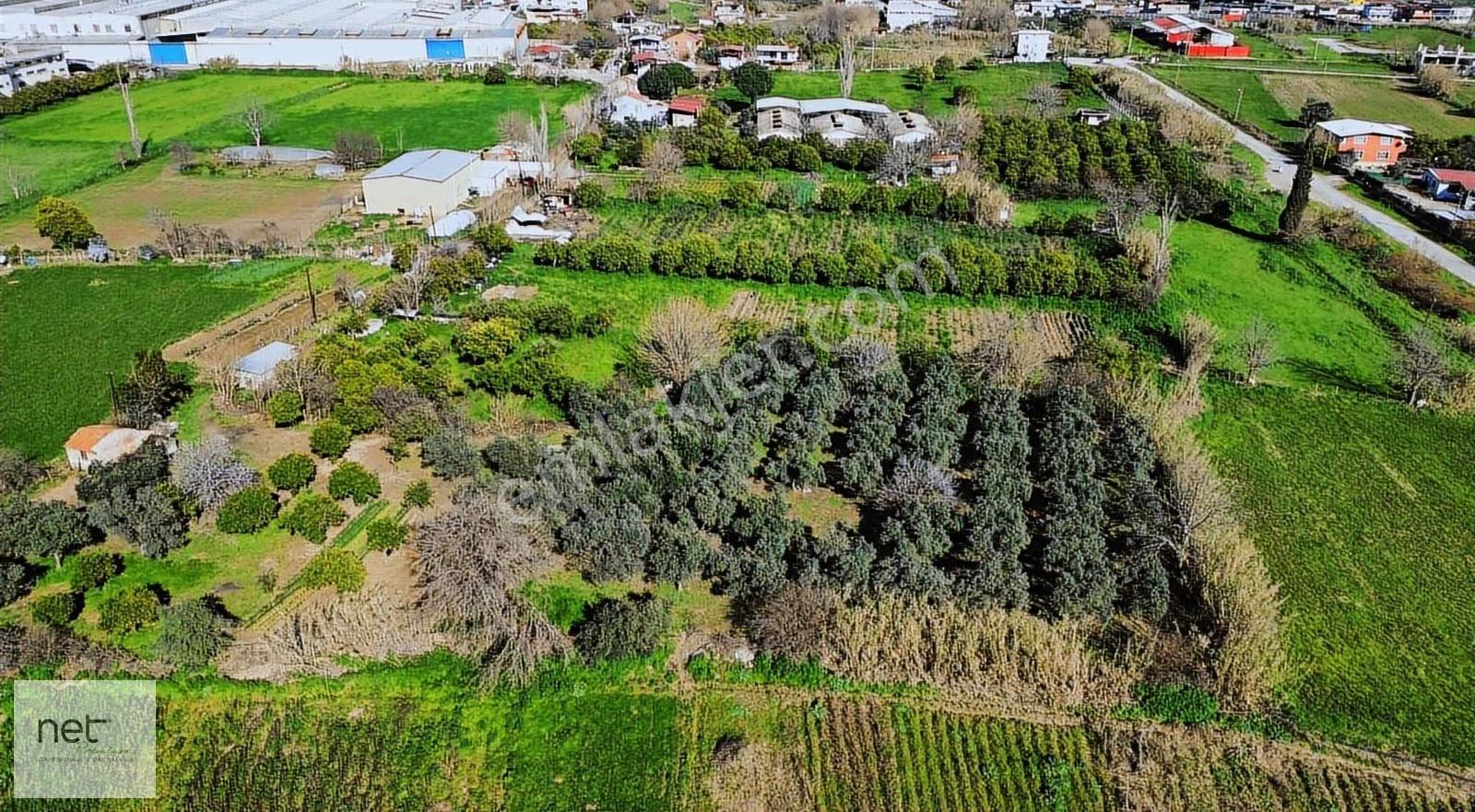 Net Premiumdan Sanayi İmar Planı İçerisinde Satılık Arazi - Görsel 7