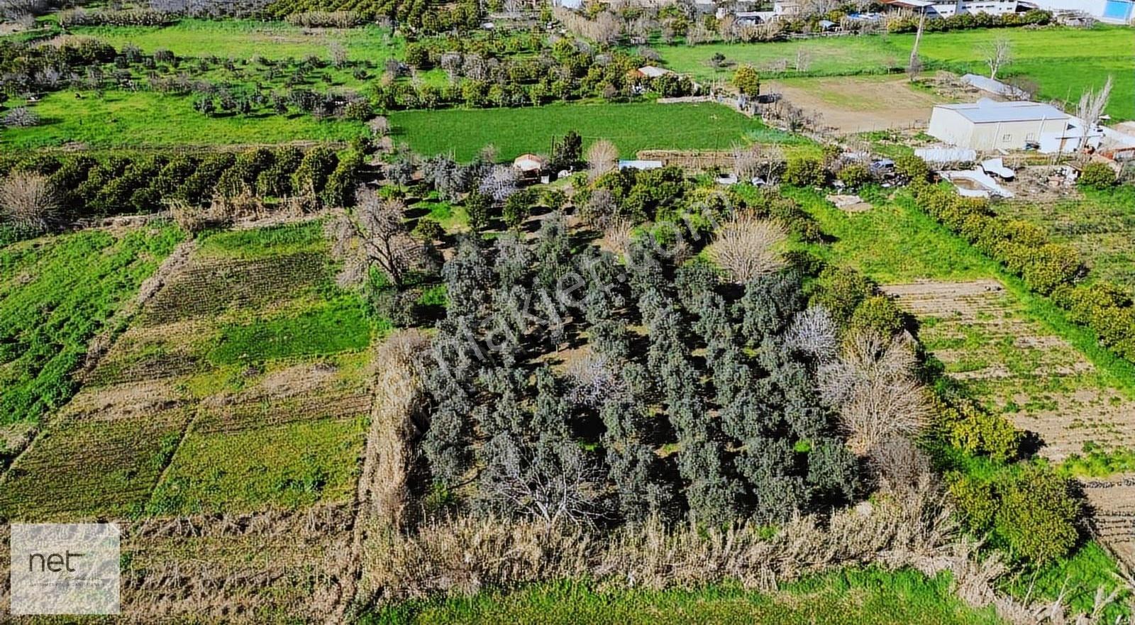 Net Premiumdan Sanayi İmar Planı İçerisinde Satılık Arazi - Görsel 12